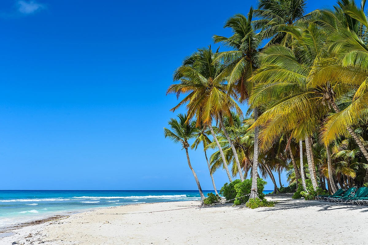 Image of a beautiful beach with palm trees Image of a beautiful beach with palm trees
