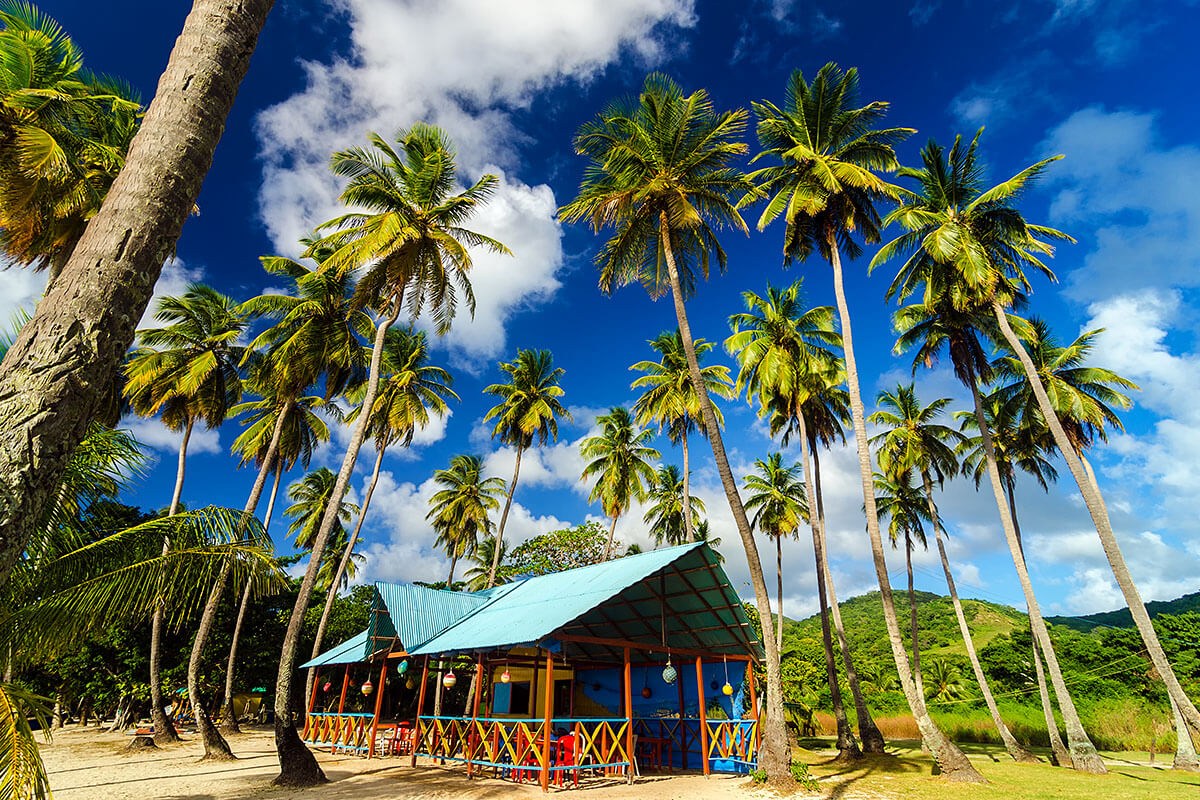 Beautiful view of the hut and palm trees in Colombia Beautiful view of the hut and palm trees in Colombia