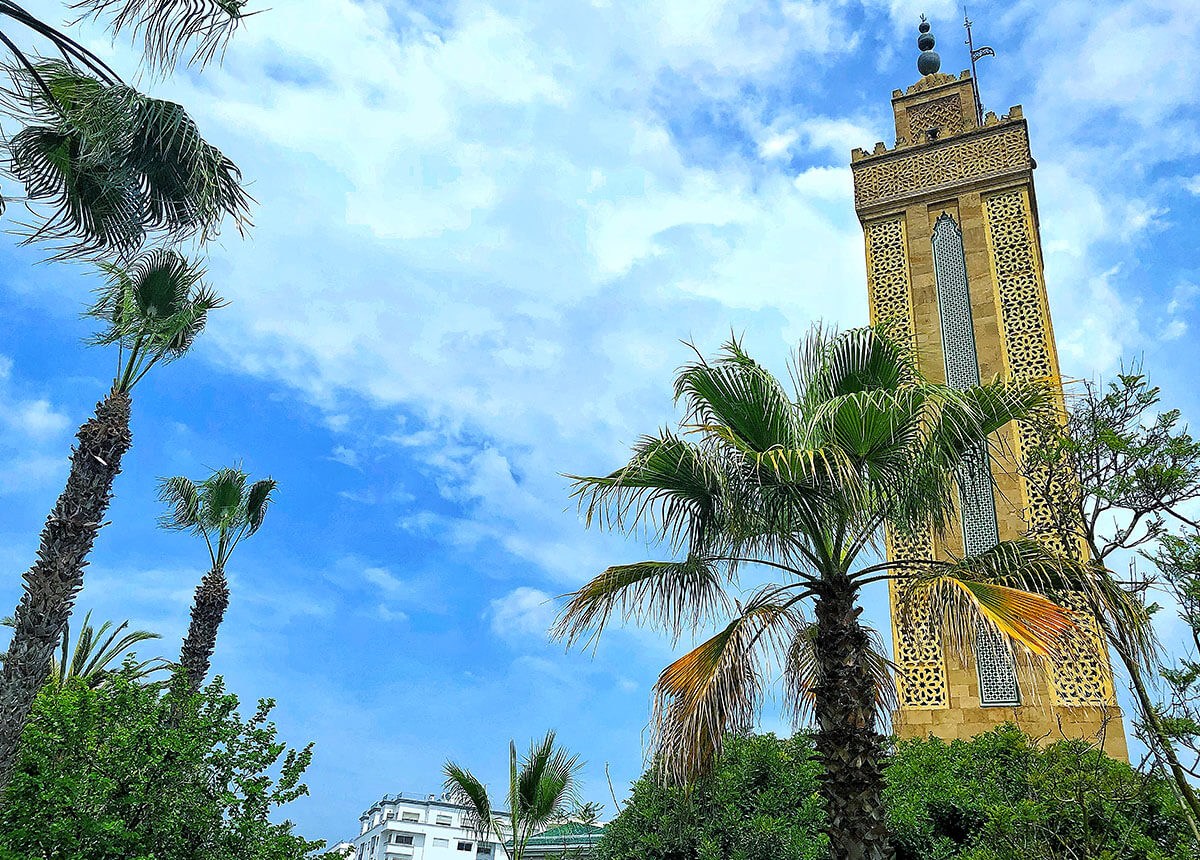 Jardins Exotiques - series of gardens with palm trees
