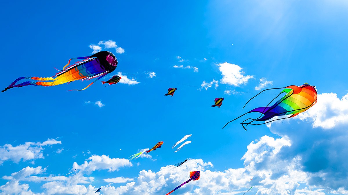 Wind and Kite Festival - Colombia Wind and Kite Festival - Colombia