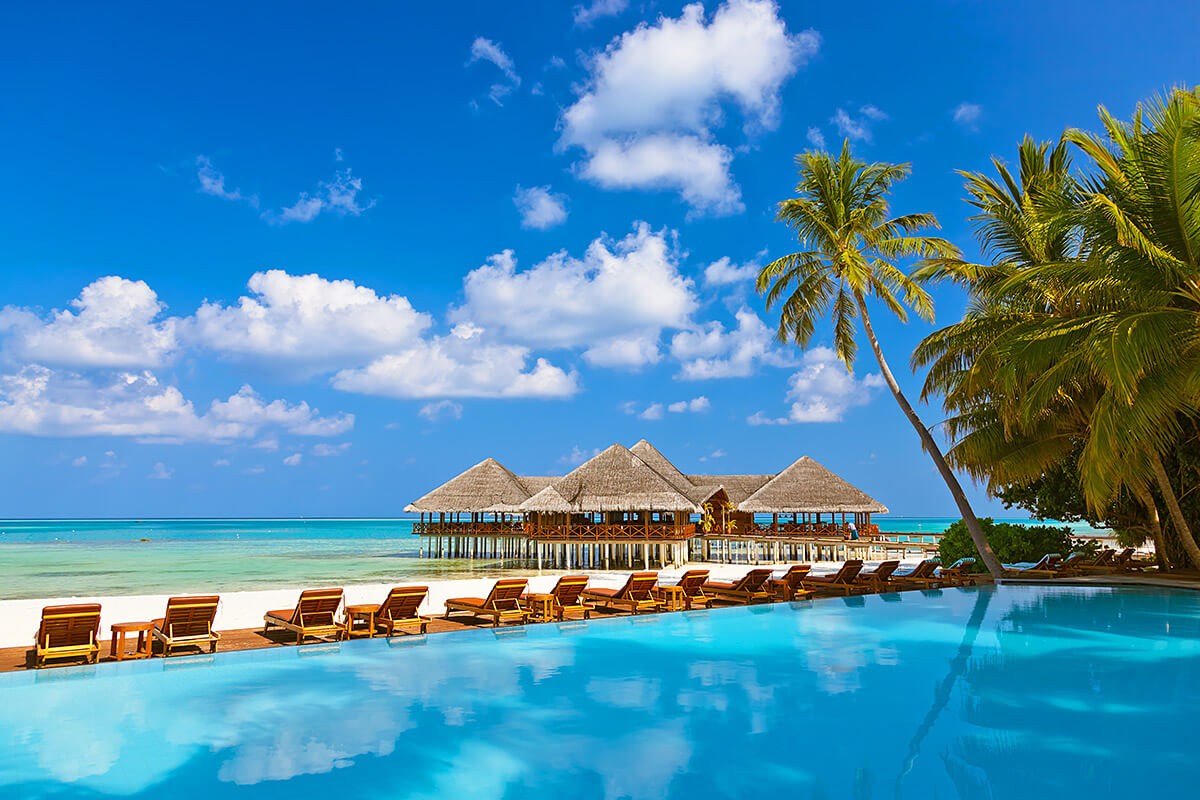 View of the pool, sunbeds and palm trees, Maldives View of the pool, sunbeds and palm trees, Maldives