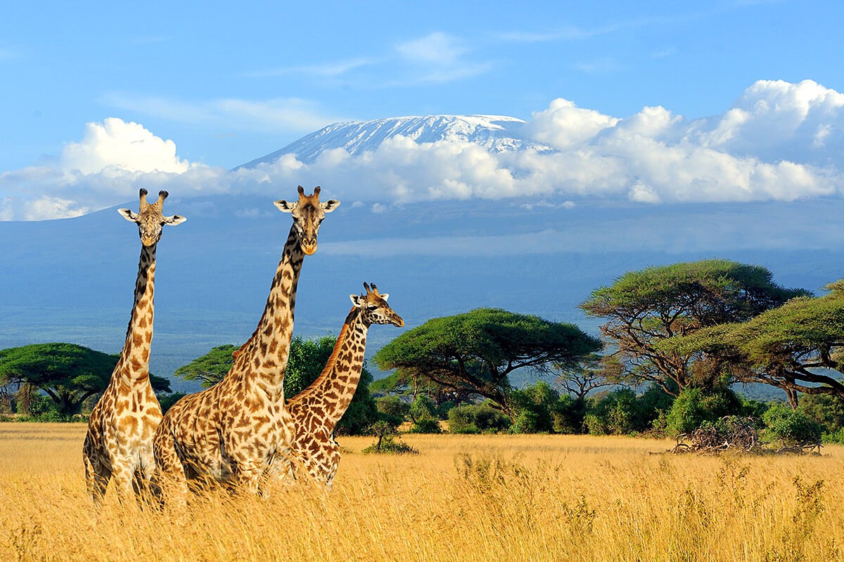 10 Fascinating Facts About Life in Africa