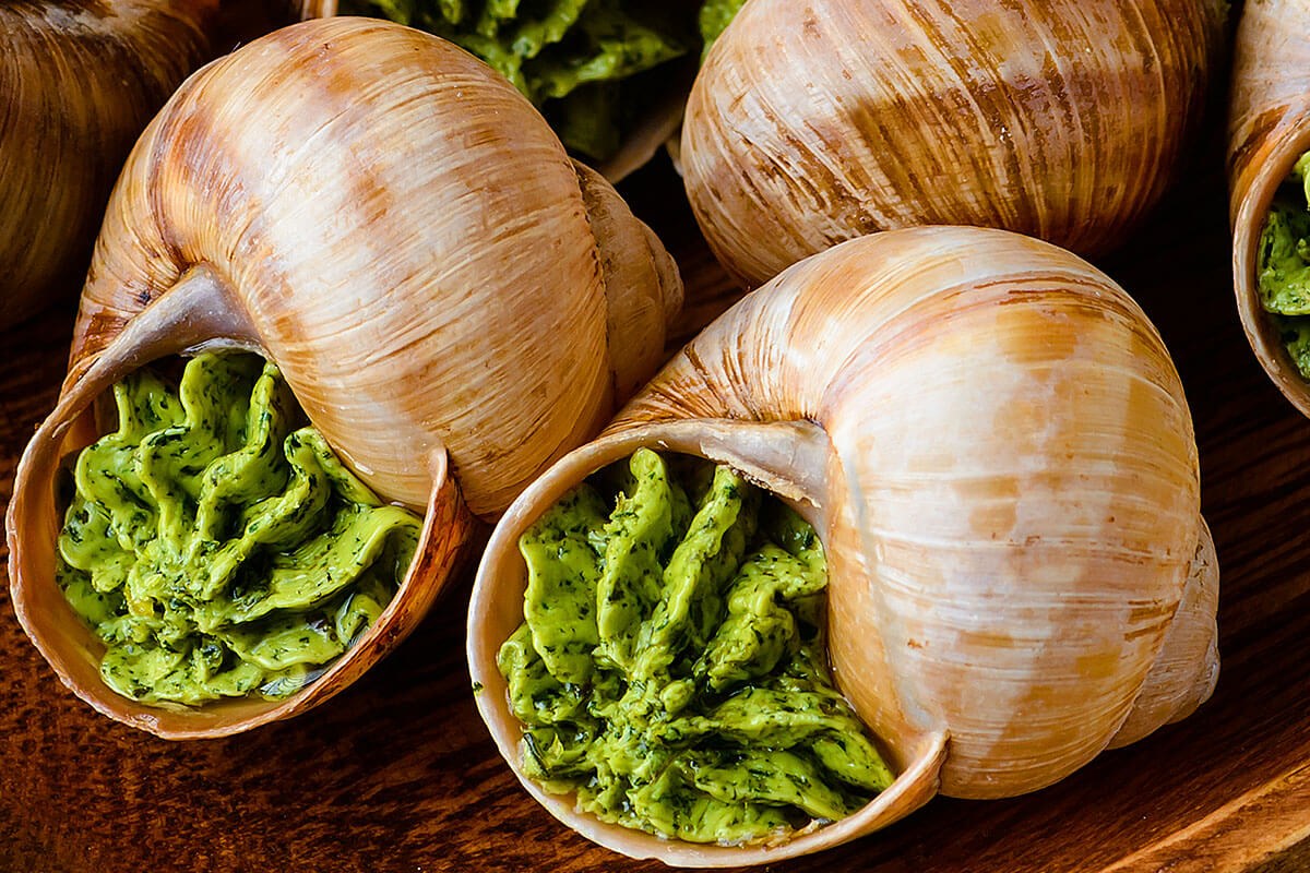Snail Food with herbs butter - France gourmet dish Snail Food with herbs butter - France gourmet dish