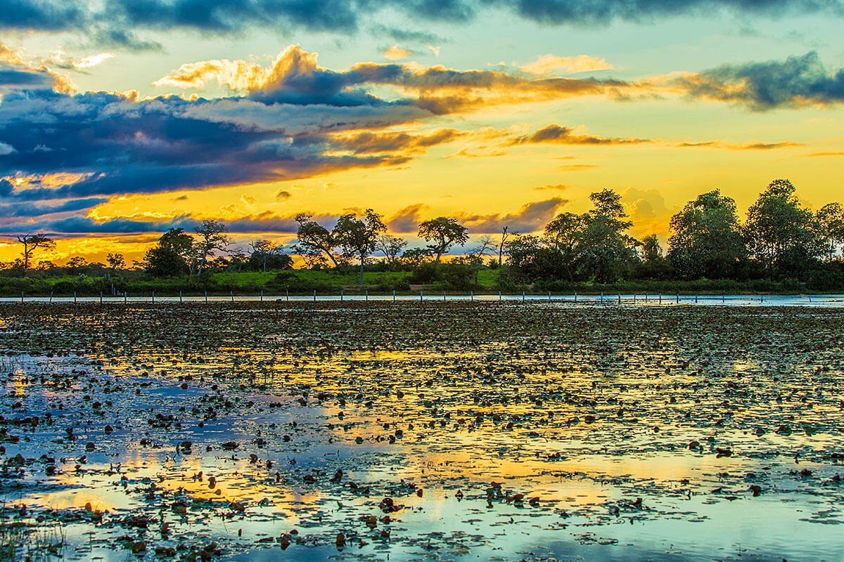 Colorful sunset in Pantanal, Brazil, South America Colorful sunset in Pantanal, Brazil, South America