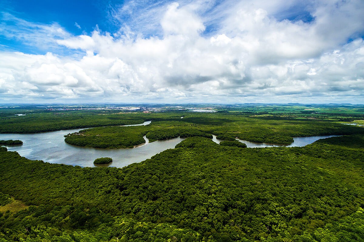 Panoramic view of the Amazon River Panoramic view of the Amazon River