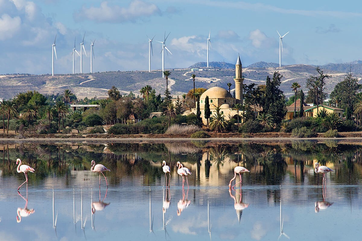 Image of the Salt Lake, Larnaca, Cyprus Image of the Salt Lake, Larnaca, Cyprus