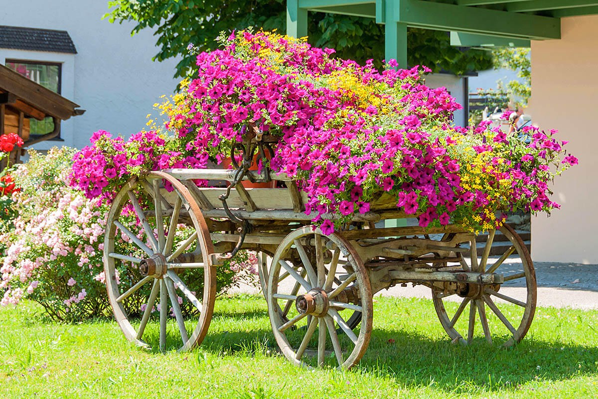 Wagon with flowers - festival Gentlemen’s day in Germany Wagon with flowers - festival Gentlemen’s day in Germany