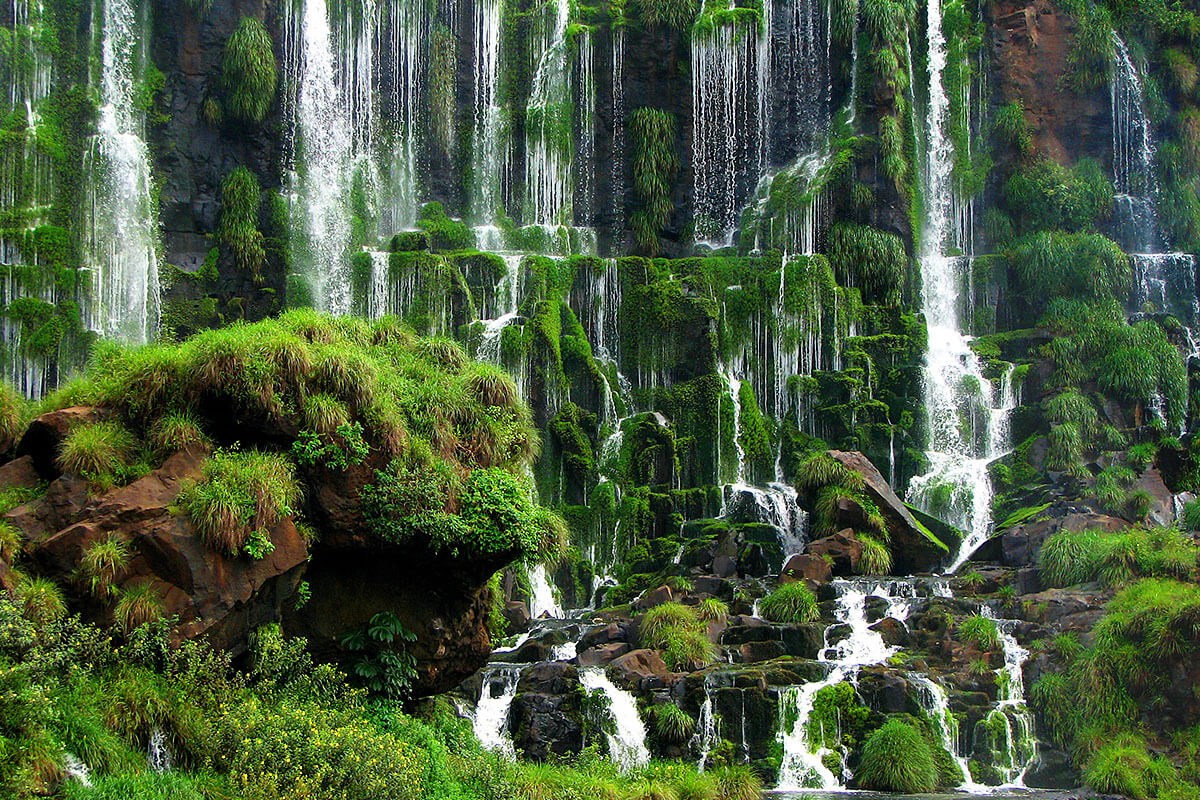 12 Interesting Facts about Life in Brazil
