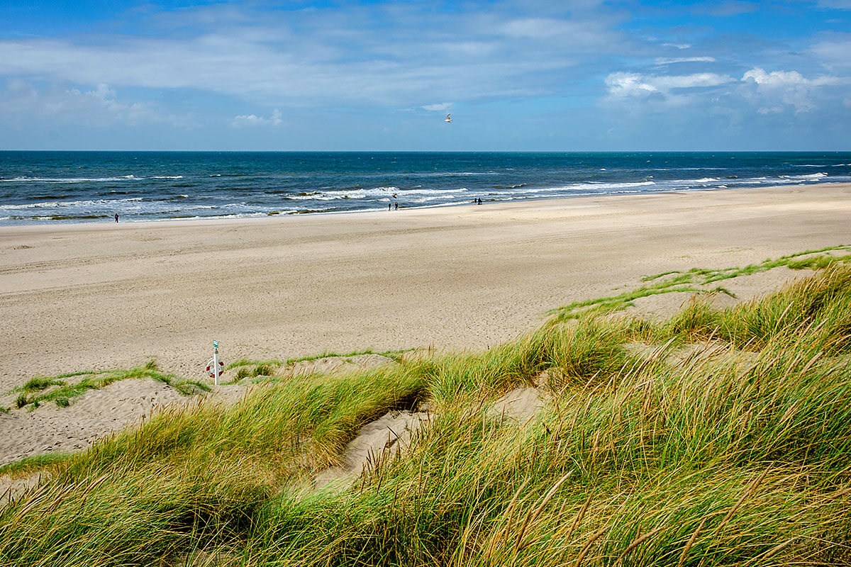 Image of the beach in Henne Strand, Denmark Image of the beach in Henne Strand, Denmark