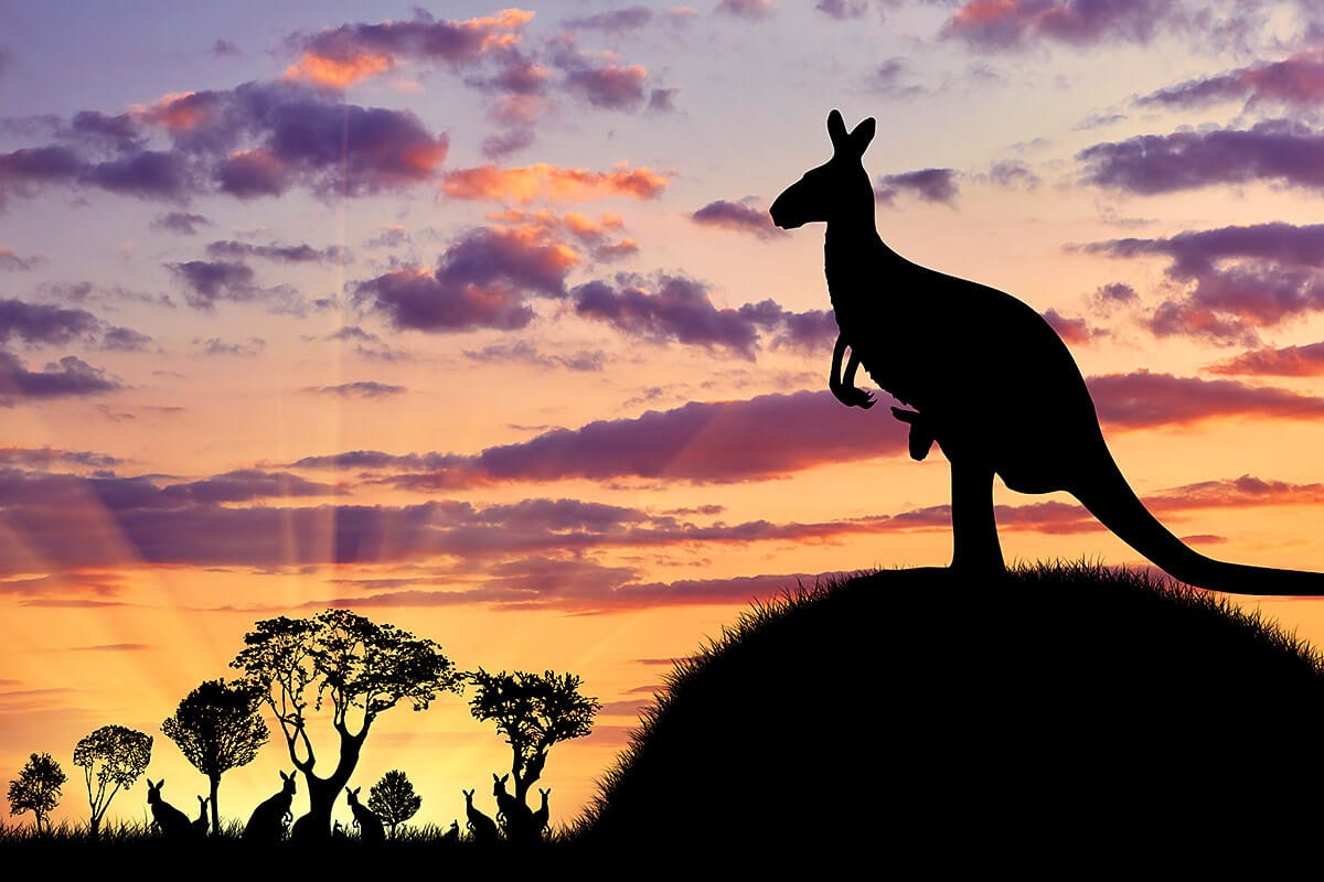 What is Life Like in Australia?