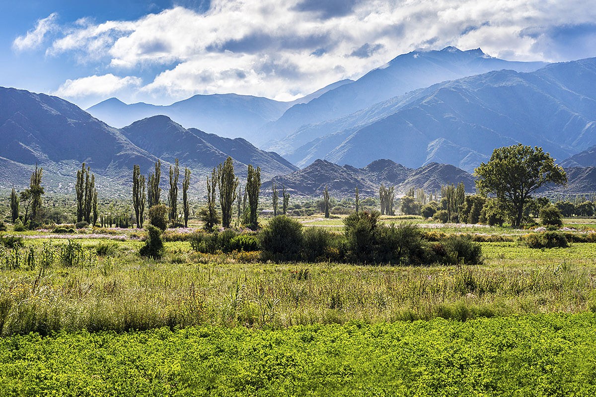 Interesting Trip to the City of Salta, Argentina