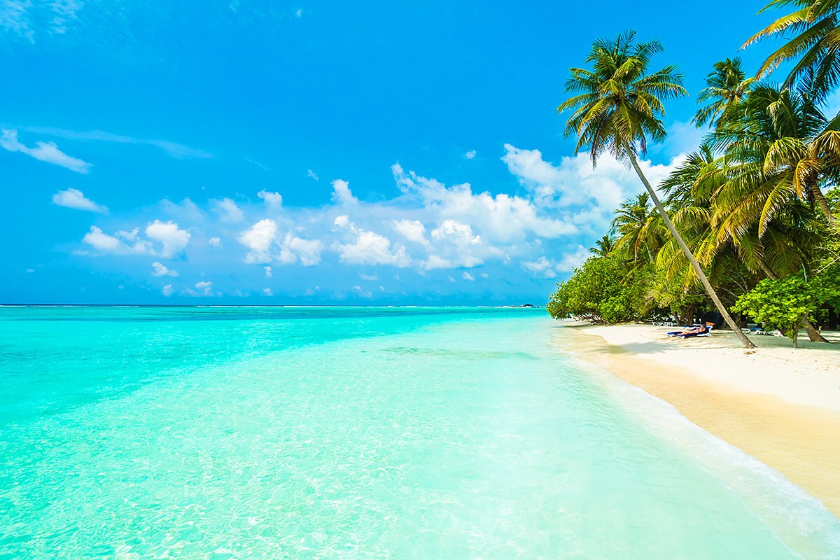 Image of a magnificent beach and palm trees on the island of Male Image of a magnificent beach and palm trees on the island of Male