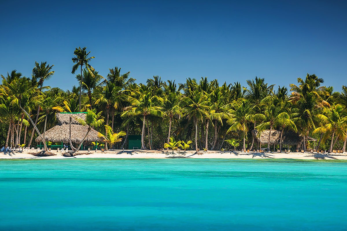 Image of beach and palm trees in Puerto Plata, Dominican Republic