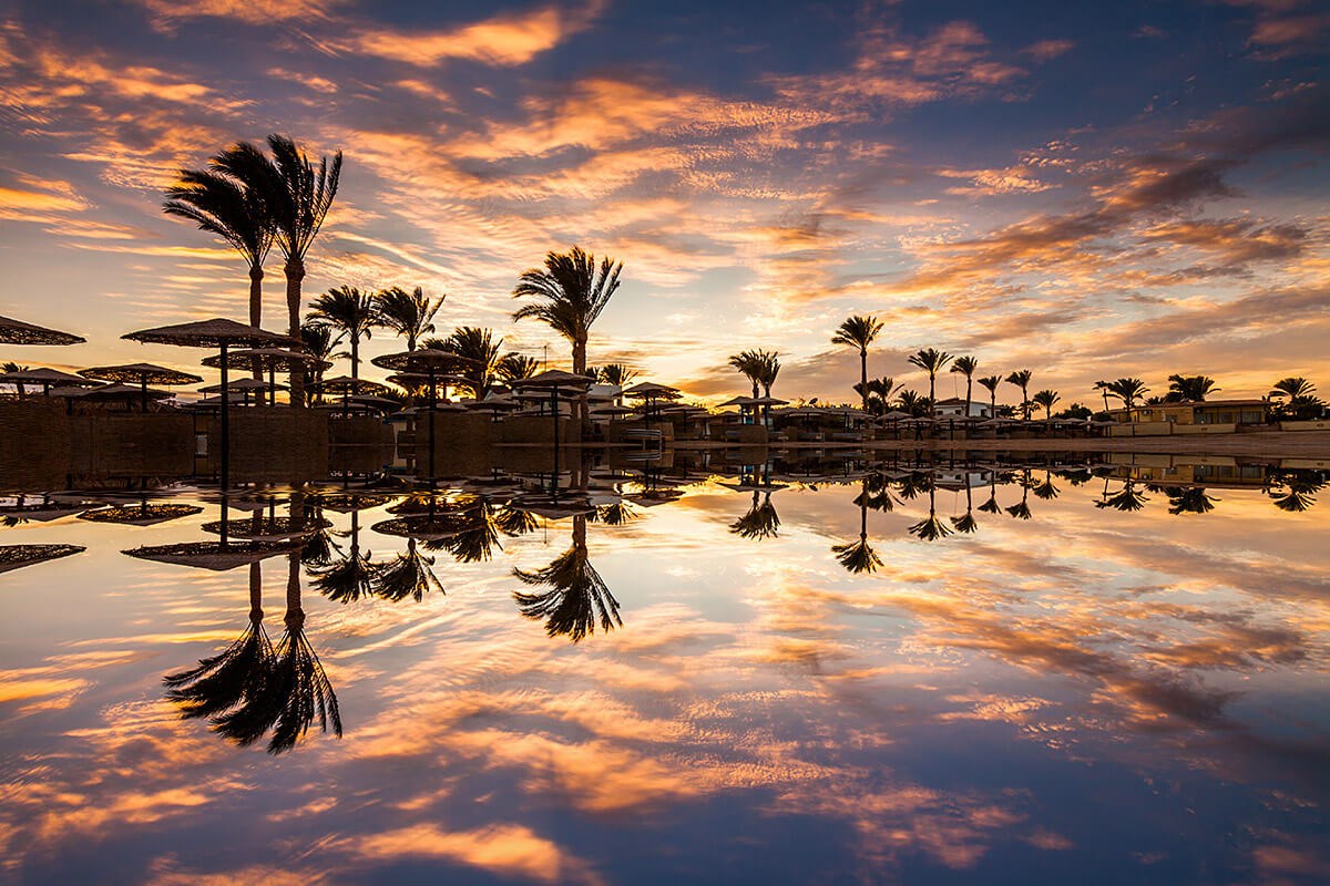 Beautiful view of the palm trees at the time of sunset, city of Hurghada