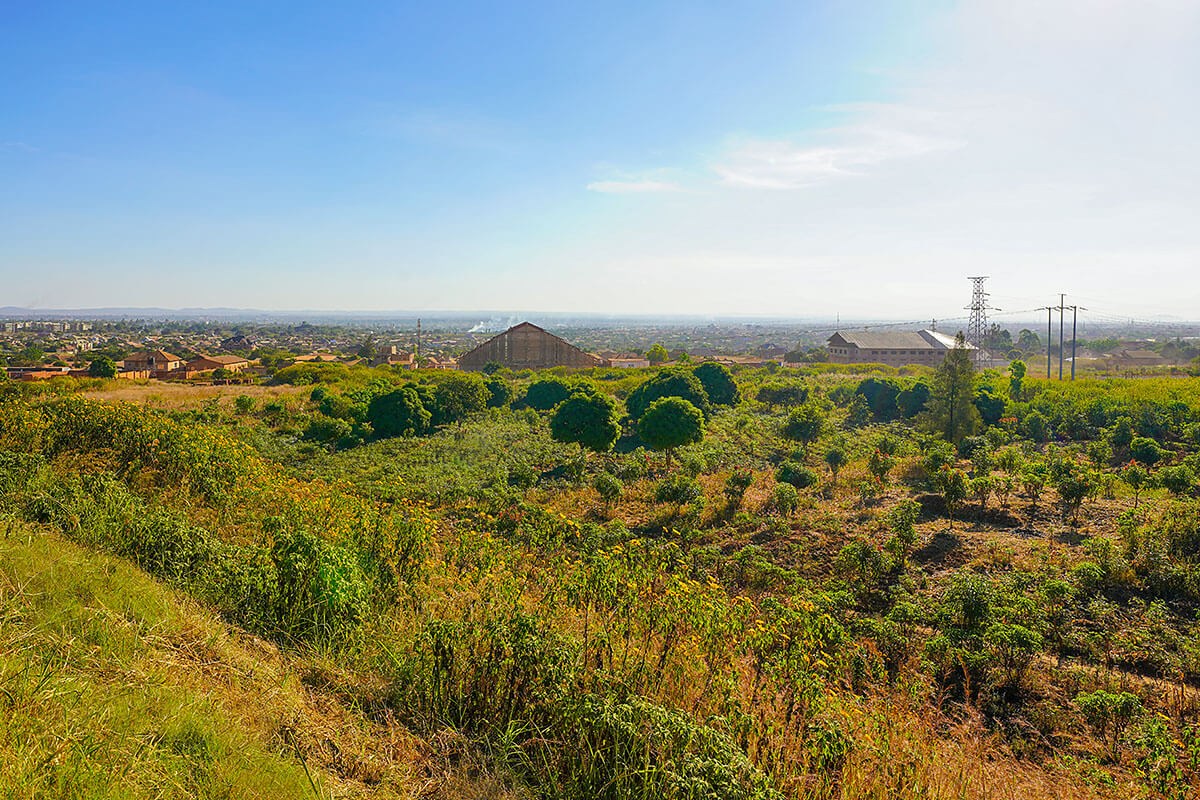 Field with trees and green bushes in city of Lubumbashi, Republic of the Congo Field with trees and green bushes in city of Lubumbashi, Republic of the Congo