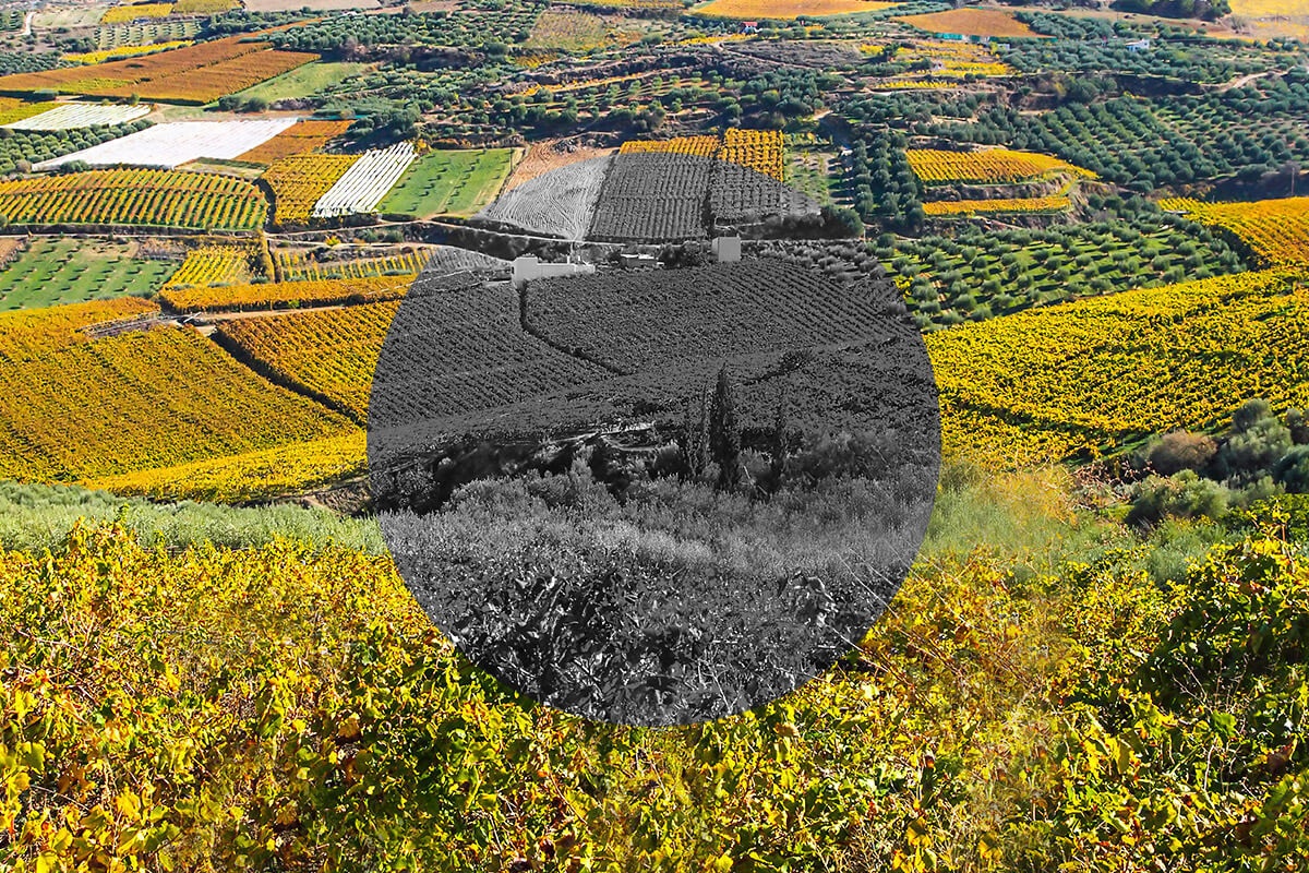 Image of large agricultural fields, Heraklion, Greece Image of large agricultural fields, Heraklion, Greece