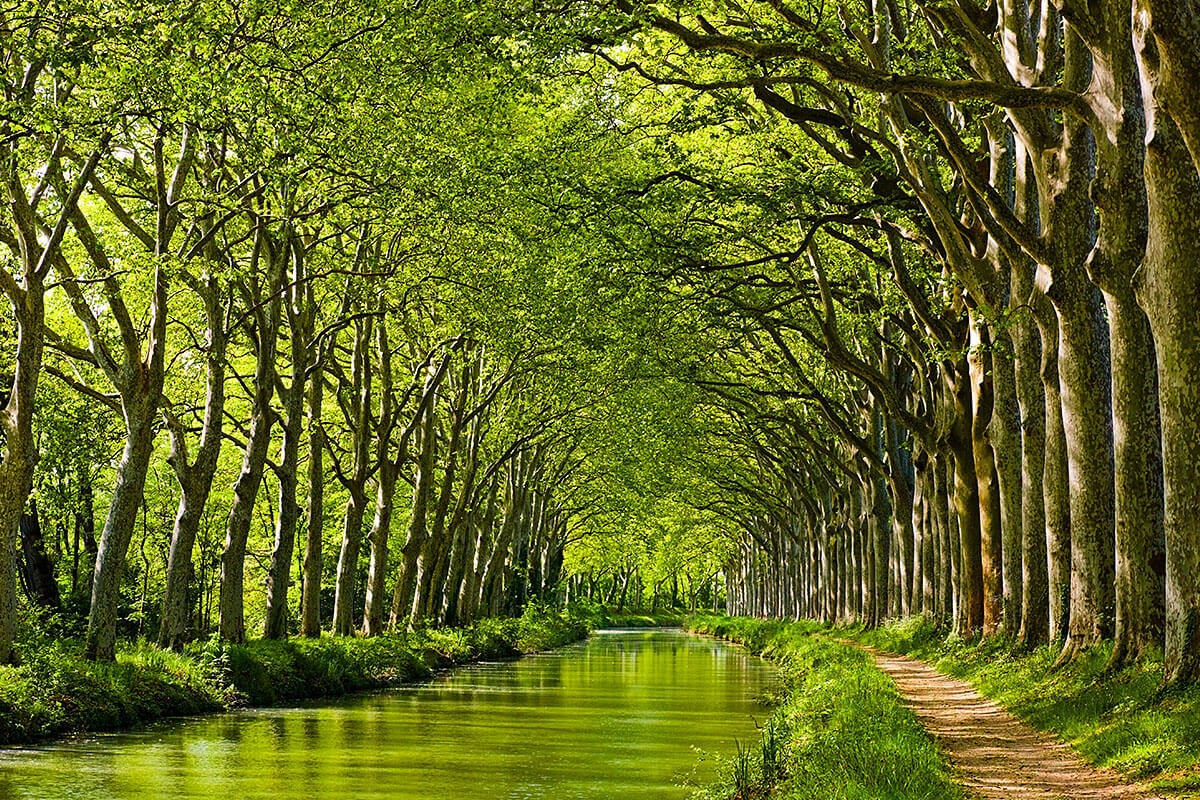 Image of a water canal and many green trees, Toulouse, France Image of a water canal and many green trees, Toulouse, France