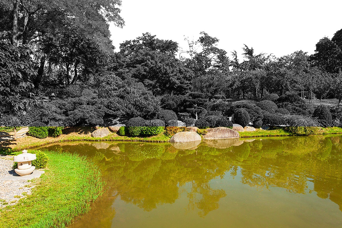 Image of the Jardin des Plantes botanical garden, Toulouse, France Image of the Jardin des Plantes botanical garden, Toulouse, France