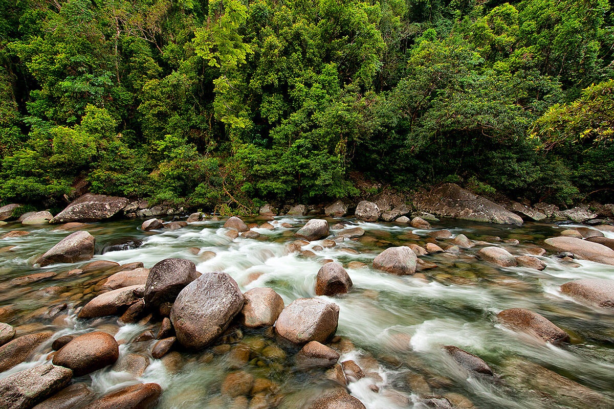 Landscape view of the Daintree Rainforest, Queensland, Australia Landscape view of the Daintree Rainforest, Queensland, Australia