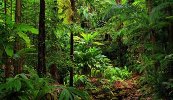 Features of the Nature of Australia