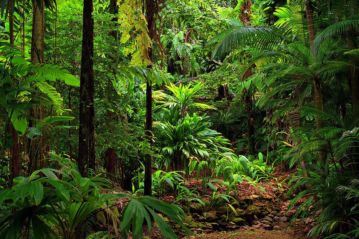 Features of the Nature of Australia