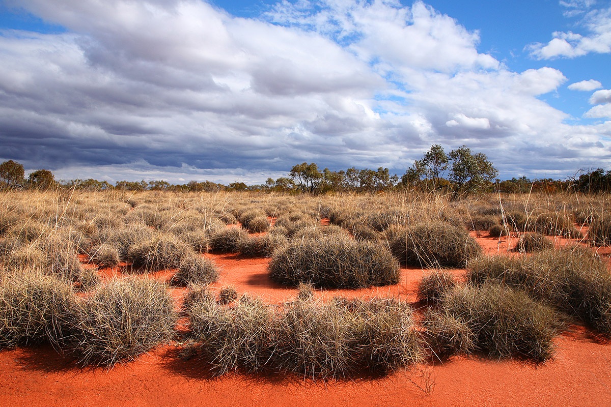 View of The Great Victoria Desert, Australia View of The Great Victoria Desert, Australia
