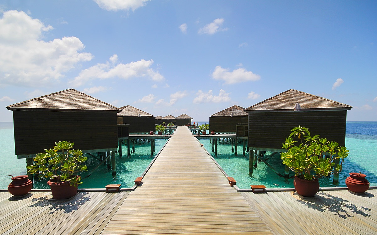 View of many bungalows and ocean, Vilamendhoo Island, Maldives