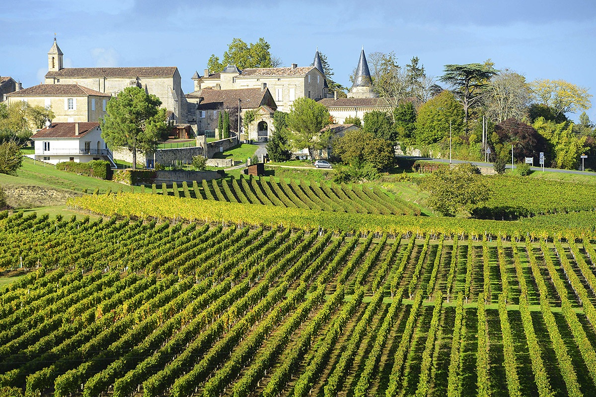 Image of fields with vineyards, Bordeaux, France Image of fields with vineyards, Bordeaux, France