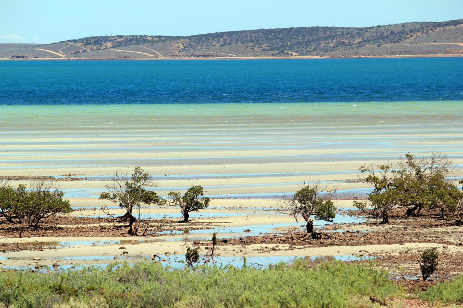 This serene coastal landscape showcases the delicate interplay between land and sea in what appears to be a pristine mangrove ecosystem.