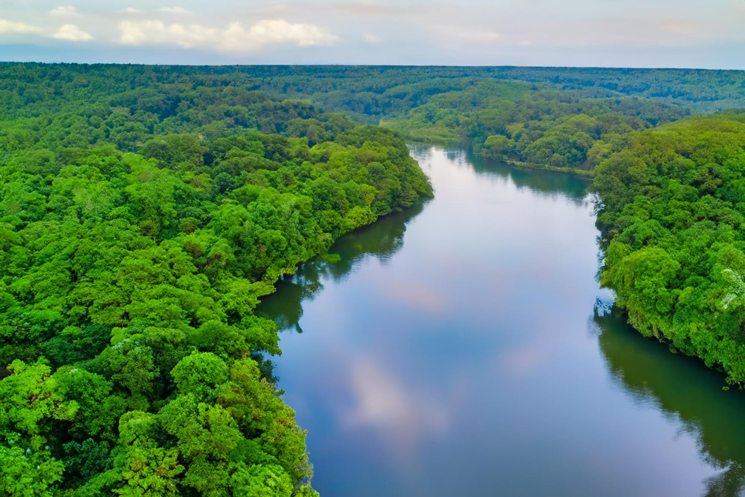 This breathtaking aerial photograph captures a serene river meandering gracefully through an expansive, untouched forest landscape.