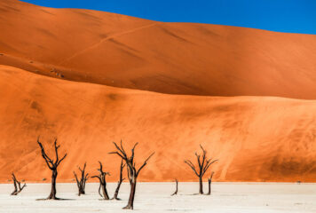 Desert at the Edge of the World – Namibe, Angola