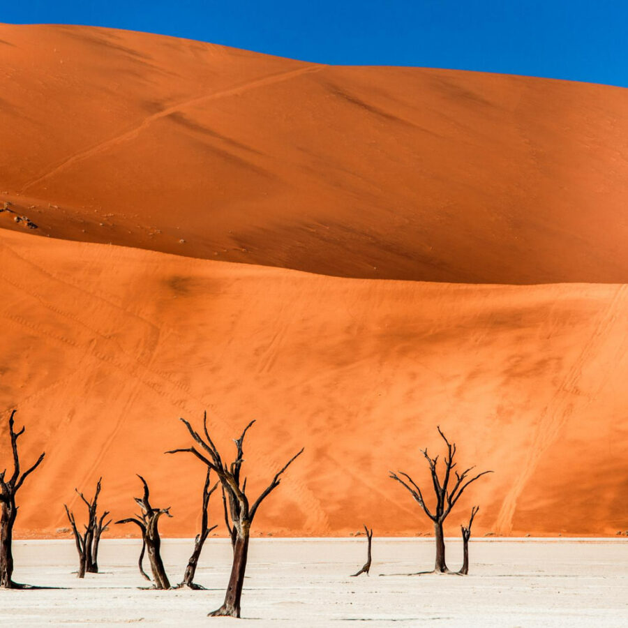 Desert at the Edge of the World – Namibe, Angola
