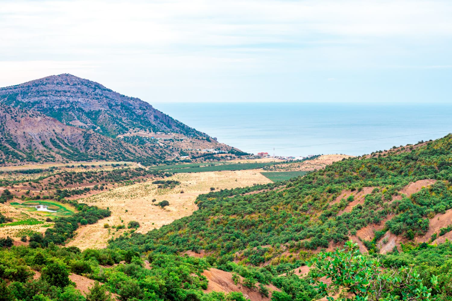 The terrain displays the characteristic diversity of Mediterranean or North African geography, with rolling hills sculpted by centuries of cultivation.