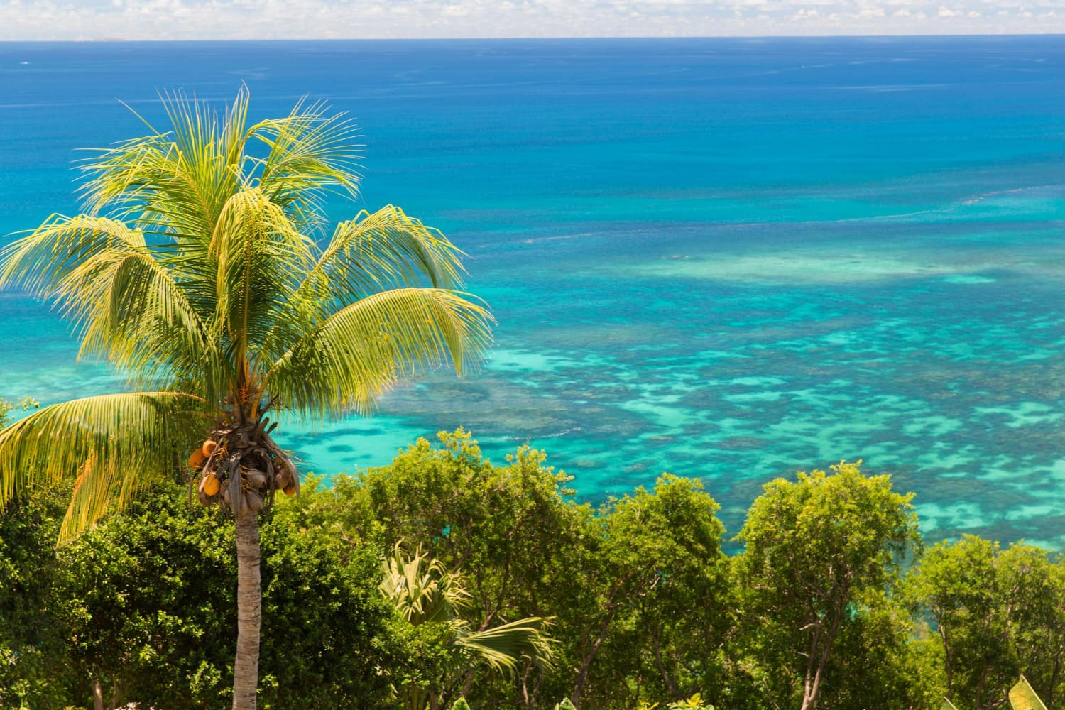 This breathtaking photograph captures the pristine beauty of a tropical Caribbean coastal landscape, showcasing the stunning natural splendor of island life.