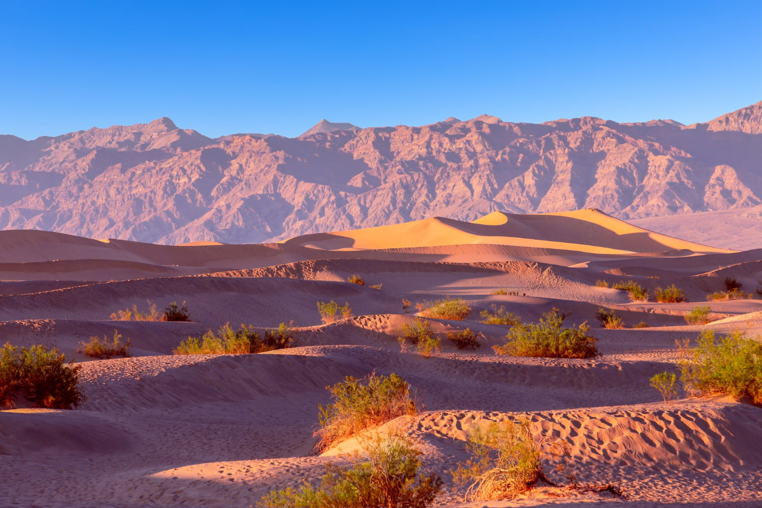 This stunning desert landscape showcases the raw majesty of sand dunes meeting towering mountain ranges in perfect harmony.