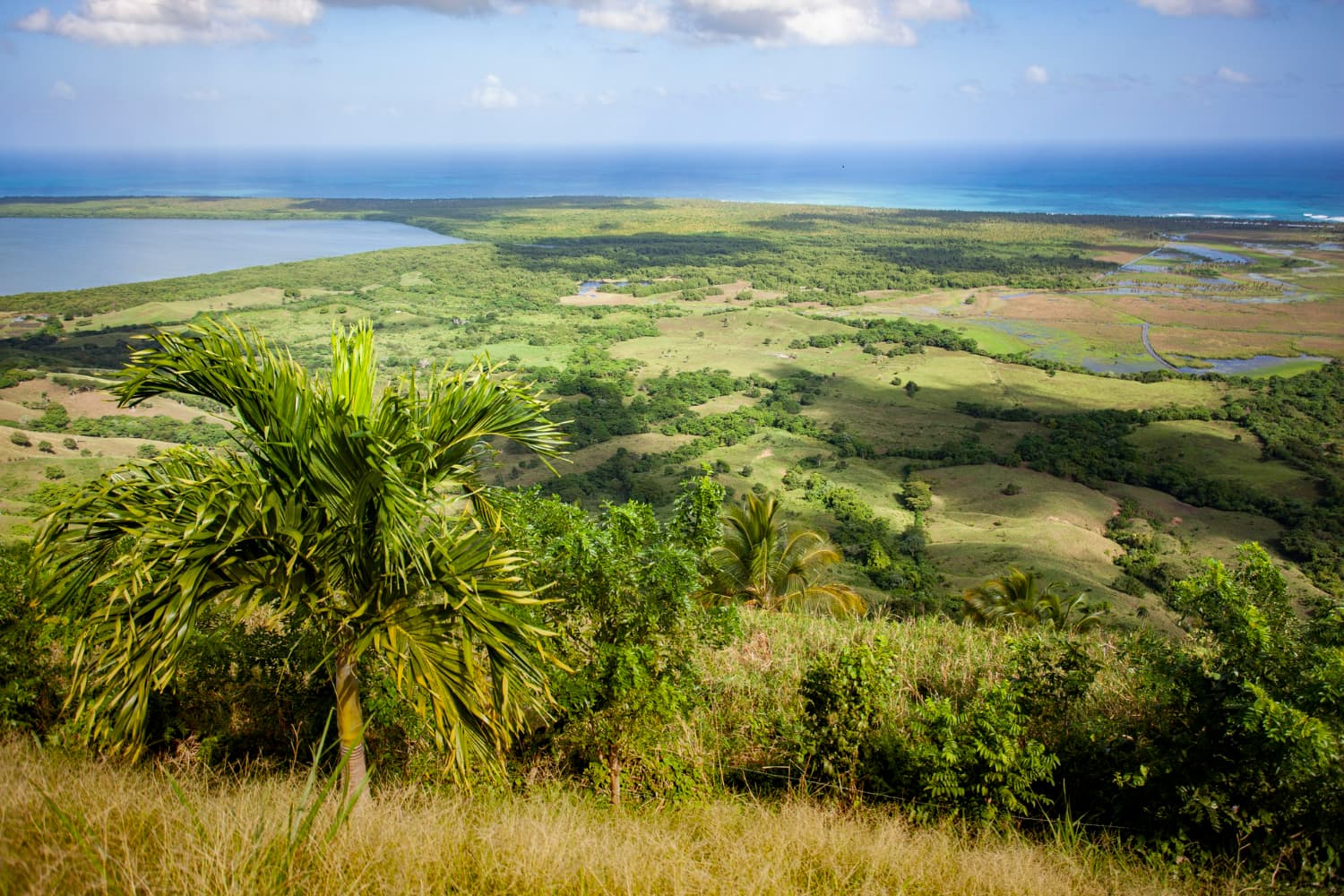 The rolling topography, abundant vegetation, and multiple water systems create an environment of extraordinary biodiversity and ecological importance.