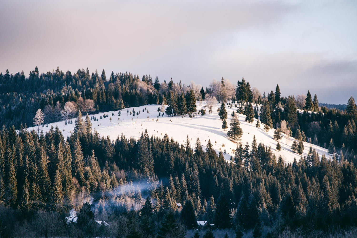 From high above, this breathtaking aerial view reveals a pristine winter wonderland nestled between towering forests.