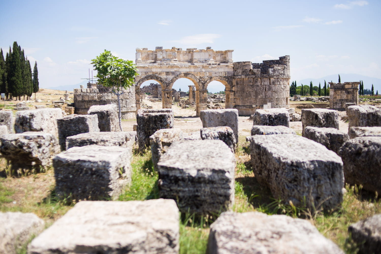 The expansive archaeological site stretches across arid terrain, framed by iconic Mediterranean cypress trees that rise like sentinels against the pale sky.