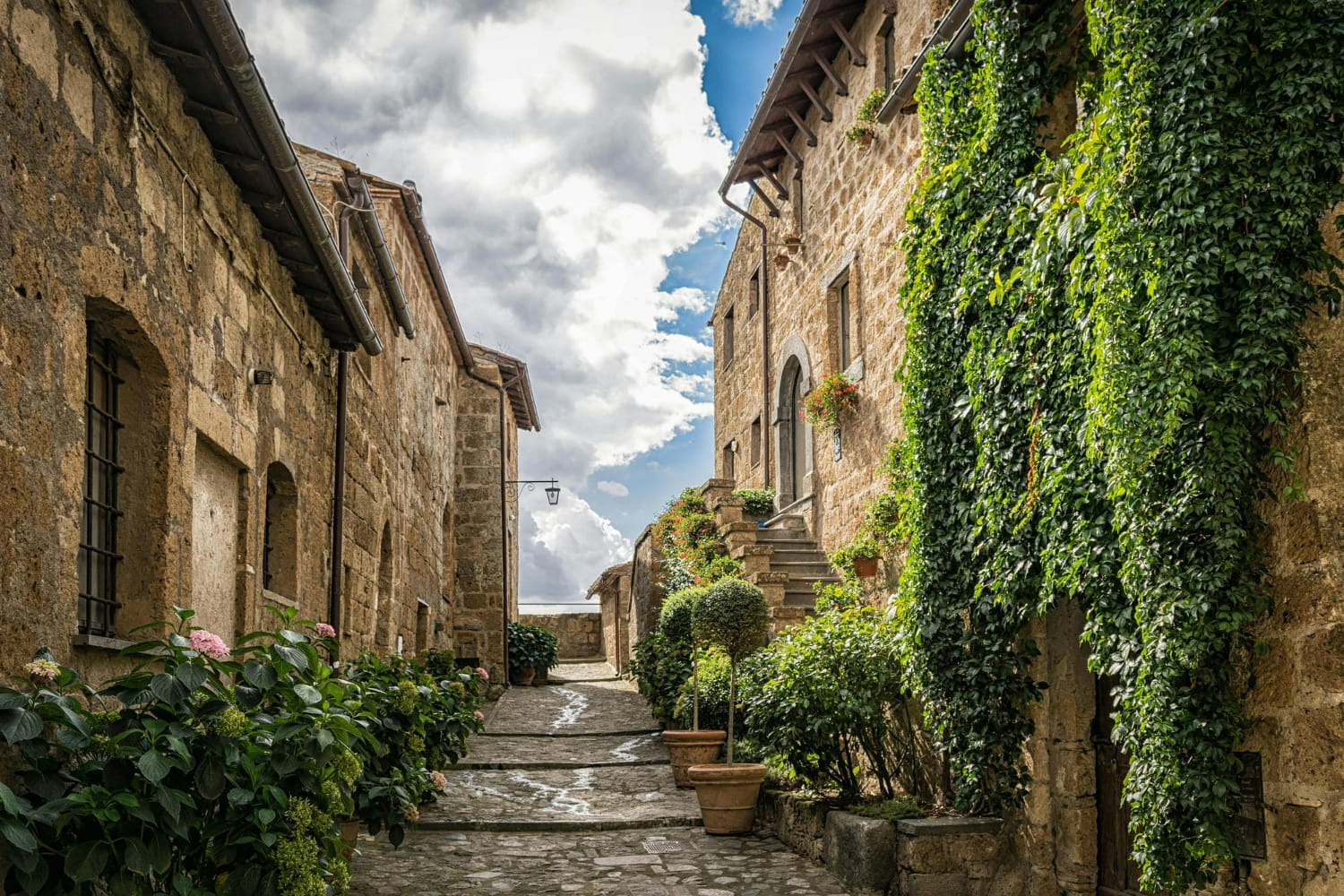 The composition draws viewers into an intimate journey through centuries of architecture and cultivated beauty.